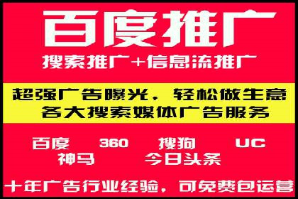 百度竞价公司案例分析：优化策略全解析